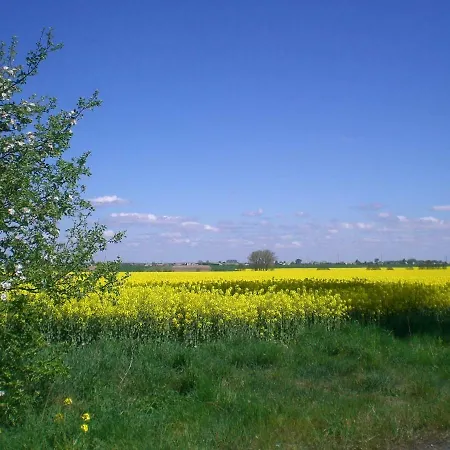 Osrodek Nowa Holandia Sierakow (Greater Poland)